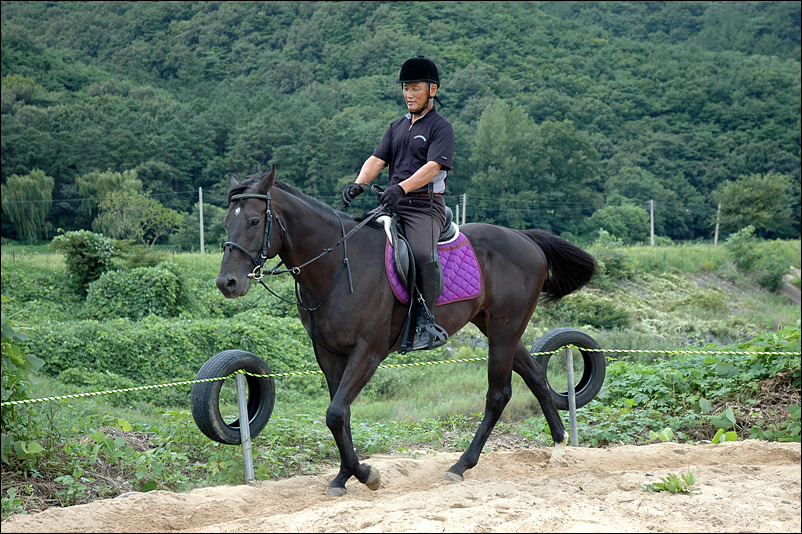 황우 이미지
