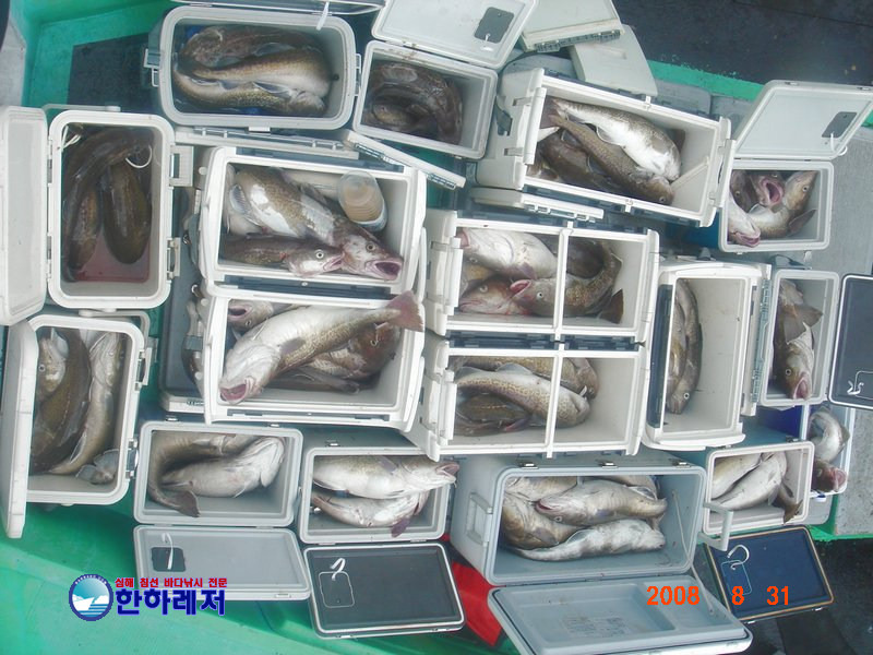 한하 이미지