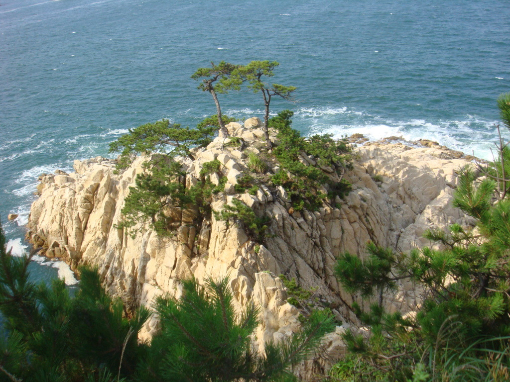 기공원 이미지