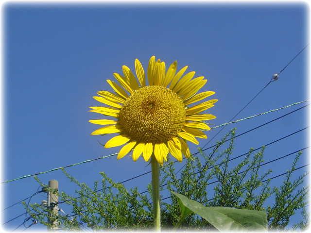 �̹����� Ŭ���ϸ� ������ ���� �� �ֽ��ϴ�.