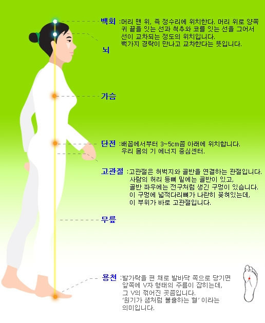 장생 이미지