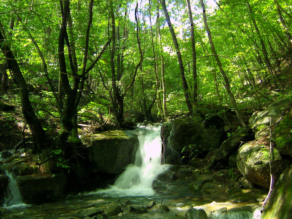 산음요 이미지