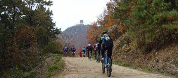 번개사 이미지